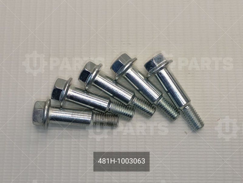 Болт с фиксированной шайбой распредвала CHERY для CHERY CHERY, Tiggo 4, I Рестайлинг, 2.0 CVT (122 л.с.), (2018 - 2023) 2.0 (2018 - 2023) / CHERY Chery, Tiggo 7, I, 2.0 CVT (122 л.с.), (2016 - 2020) 2.0 (2016 - 2020) / CHERY Fora (A21), 1.5 MT (109 л.с.) 
