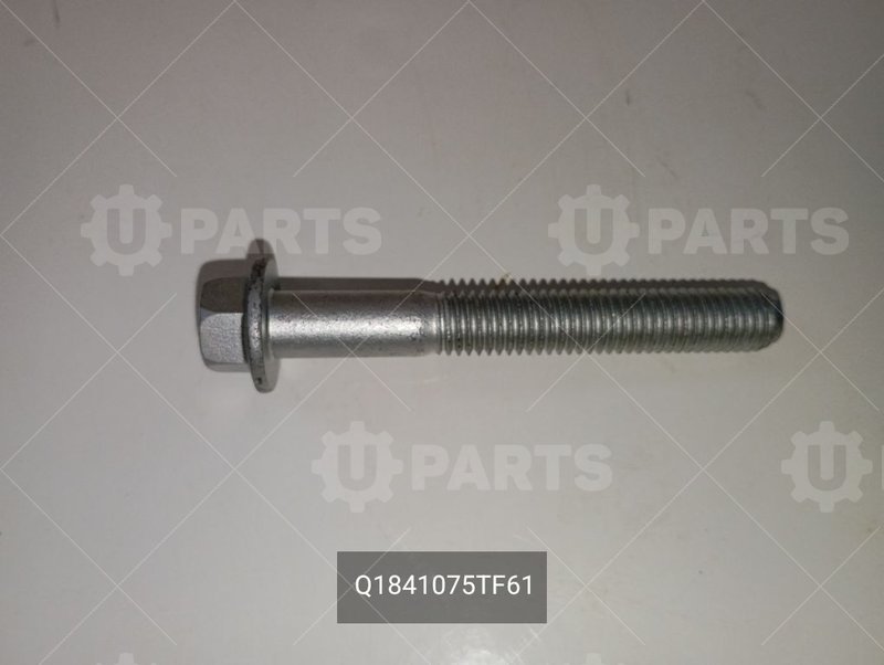 Болт с фланцем CHERY для CHERY Chery, Tiggo 8, I, 2.0 CVT (170 л.с.), (2019 - 2022) 2.0 (2019 - 2022) (Кат.номер: Q1841075TF61)