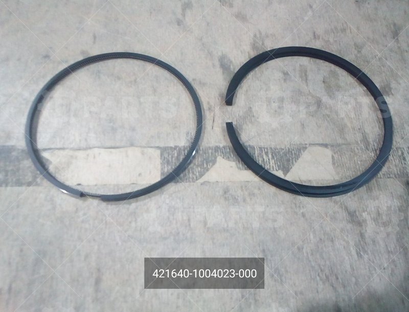 Кольца поршневые 100, Евро-4 с низкими кольцами ГАЗ для ГАЗ ГАЗель Бизнес (1999 - ) (Кат.номер: 421640-1004023-000)