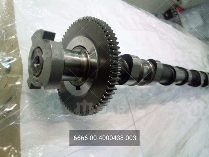 666600-4000438-003 Вал распределительный впускной в сборе двигатель G21 