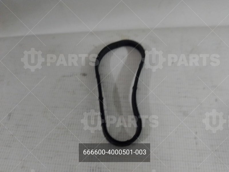 666600-4000501-003 Уплотнитель теплообменника двигатель G21 