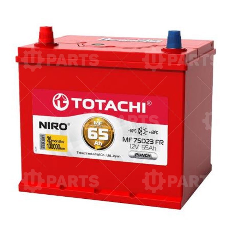 Аккумуляторная батарея Totachi NIRO MF 75D23  65 FR, PUNCH ДхШхВ:232mmx173mmx225mm